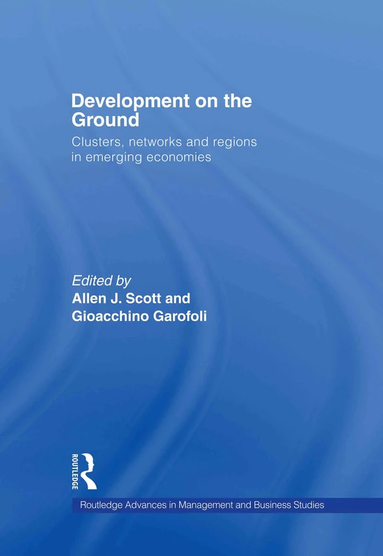 Development on the Ground: Clusters, Networks and Regions in Emerging Economies (Routledge Advances in Management and Business Studies)
