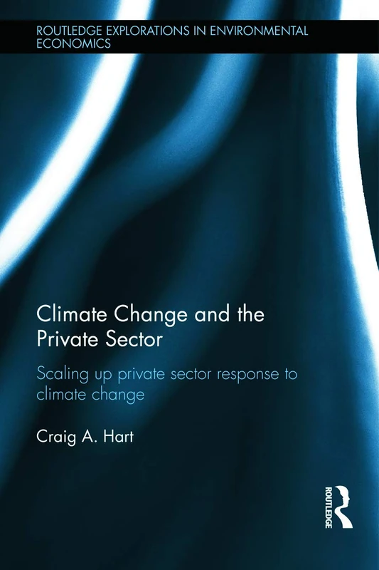 Climate Change and the Private Sector: Scaling Up Private Sector Response to Climate Change: 40 (Routledge Explorations in Environmental Economics)