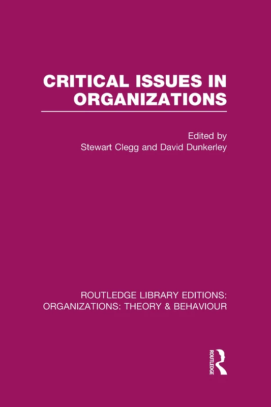 Critical Issues in Organizations (RLE: Organizations) (Routledge Library Editions: Organizations)