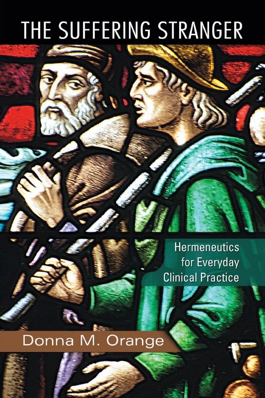The Suffering Stranger: Hermeneutics for Everyday Clinical Practice - Image 1