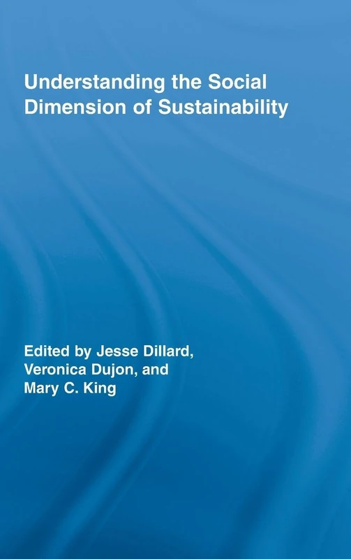 Understanding the Social Dimension of Sustainability: 17 (Routledge Studies in Development and Society)