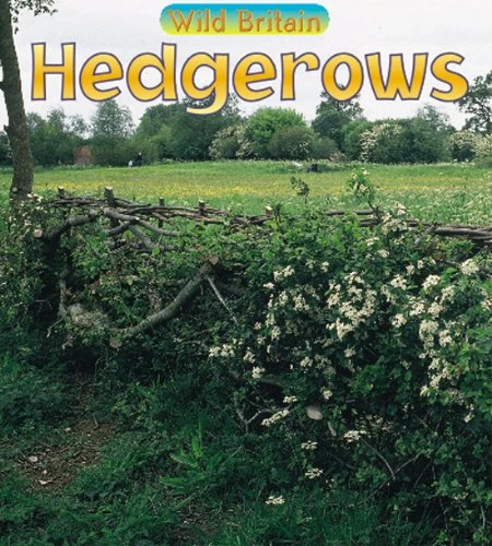 Wild Britain: Pack D of 6 (Wild Britain)