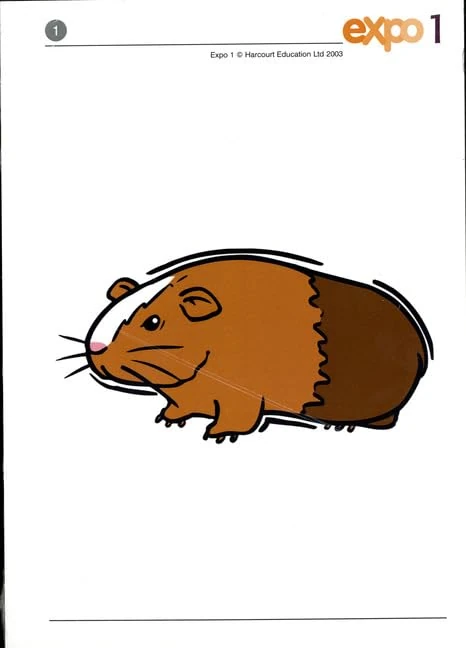 Expo 1 Flashcards - Image 1