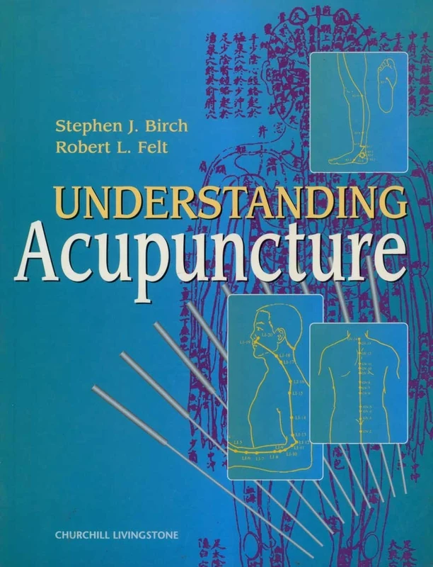 Understanding Acupuncture