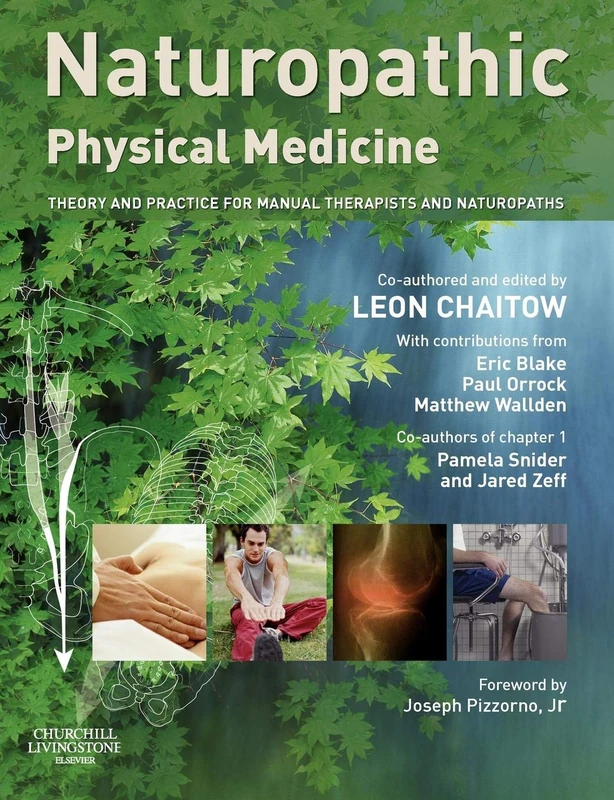 Naturopathic Physical Medicine: Theory And Practice For Manual Therapists And Naturopaths