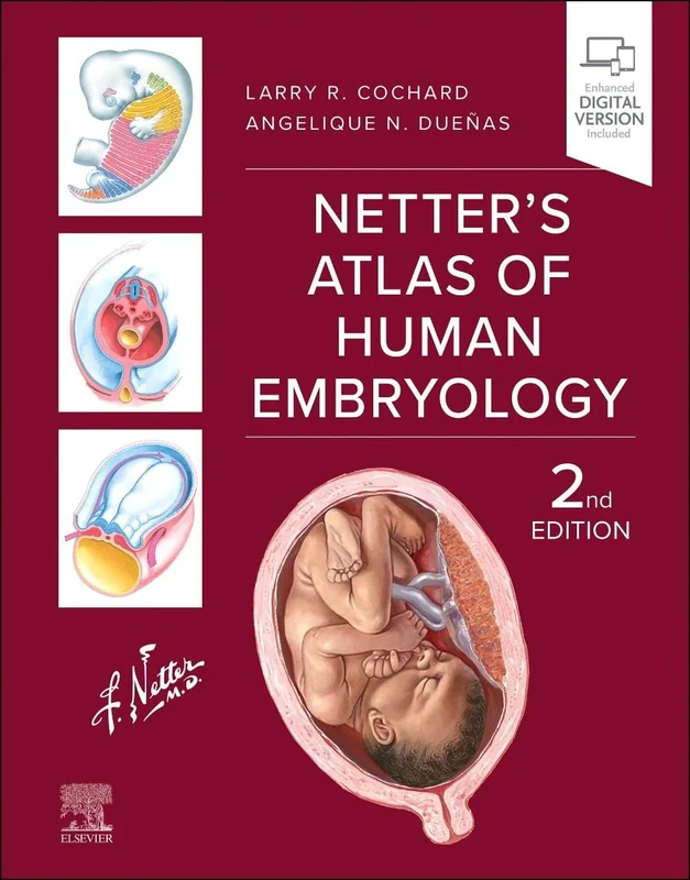 Netter's Atlas of Human Embryology (Netter Basic Science)