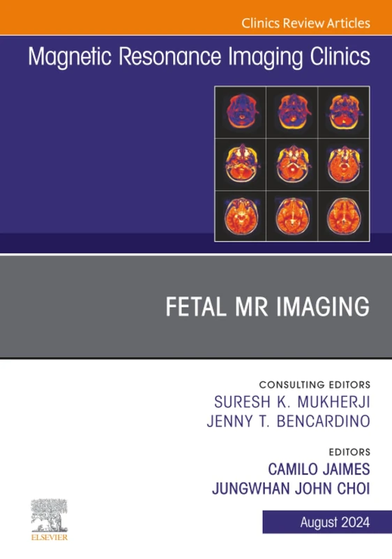 Fetal MRI, An Issue of Magnetic Resonance Imaging Clinics of North America