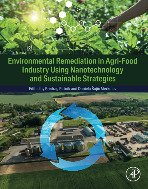 Environmental Remediation in Agri-Food Industry Using Nanotechnology and Sustainable Strategies