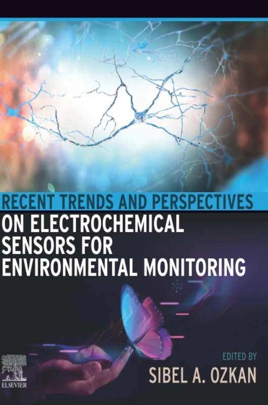 Recent Trends and Perspectives on Electrochemical Sensors for Environmental Monitoring