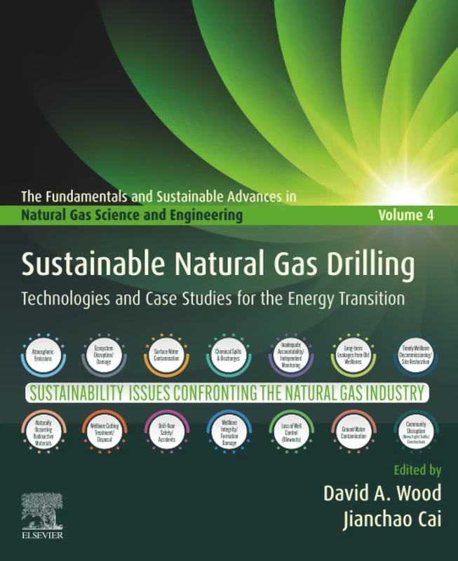 Sustainable Natural Gas Drilling: Technologies and Case Studies for the Energy Transition (The Fundamentals and Sustainable Advances in Natural Gas Science and Eng)