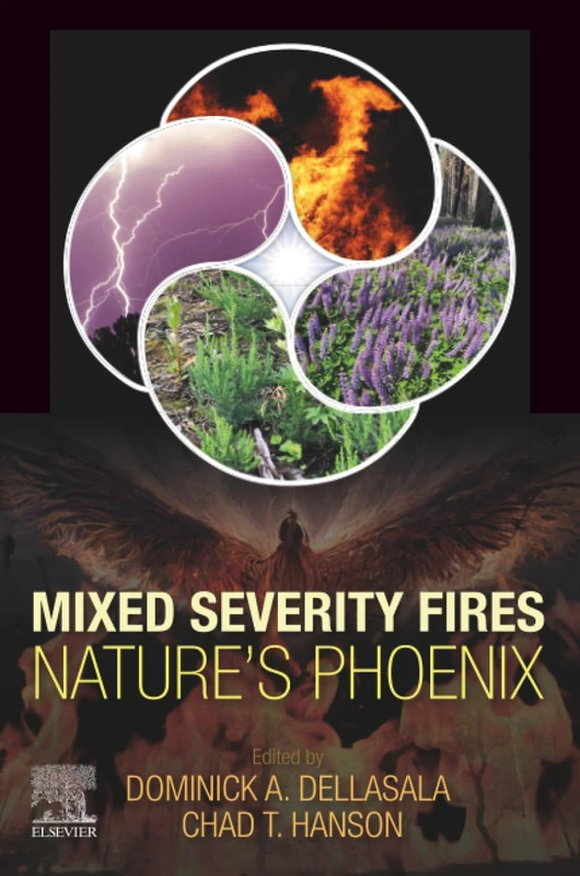 Mixed Severity Fires: Nature’s Phoenix