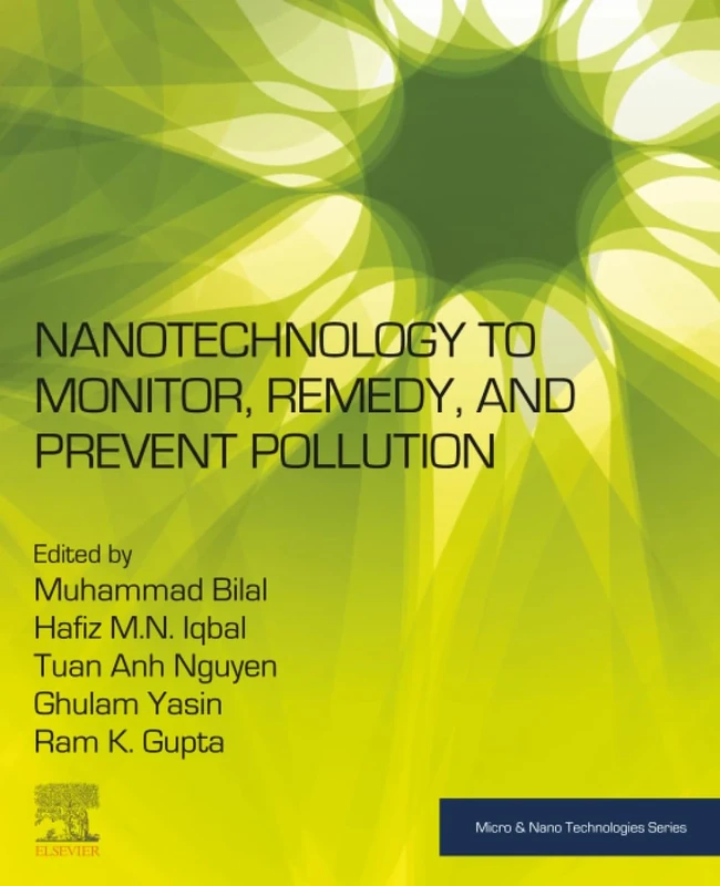 Nanotechnology to Monitor, Remedy, and Prevent Pollution (Micro and Nano Technologies)