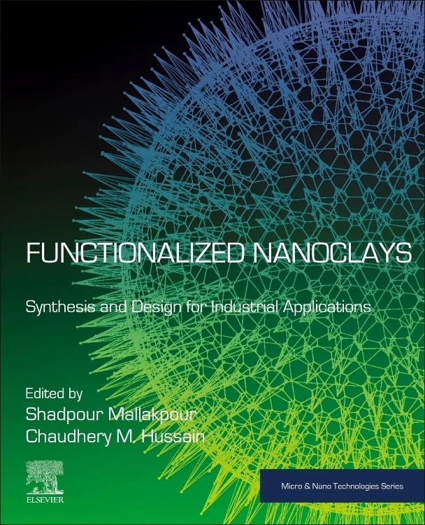 Functionalized Nanoclays: Synthesis and Design for Industrial Applications (Micro and Nano Technologies)