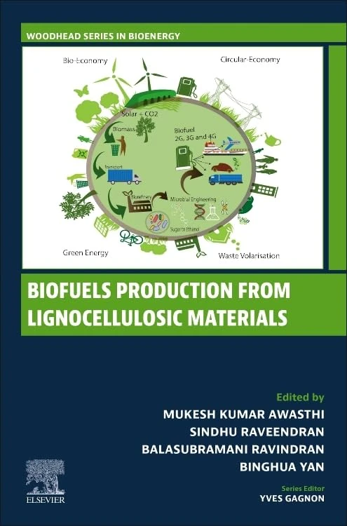 Biofuels Production from Lignocellulosic Materials (Woodhead Series in Bioenergy)
