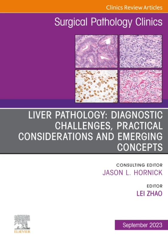 Diagnostic Challenges, Practical Considerations and Emerging Concepts, An Issue of Surgical Pathology Clinics: Volume 16-3 (The Clinics: Surgery, Volume 16-3)