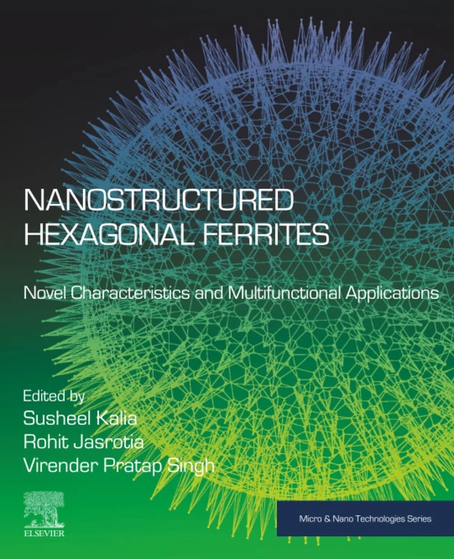 Nanostructured Hexagonal Ferrites: Novel Characteristics and Multifunctional Applications (Micro and Nano Technologies)
