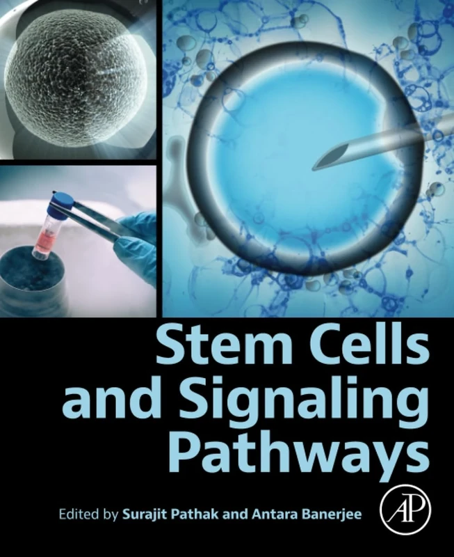 Stem Cells and Signaling Pathways