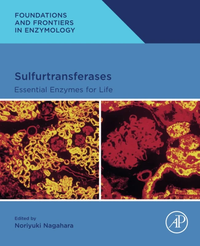 Sulfurtransferases: Essential Enzymes for Life (Foundations and Frontiers in Enzymology)