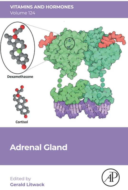 Academic Press Adrenal Gland: Volume 124 - Vitamins and Hormones