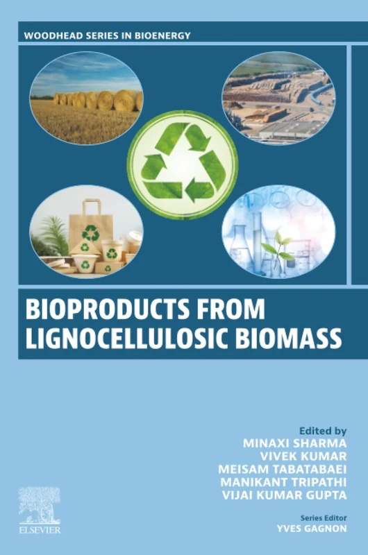 Bioproducts from Lignocellulosic Biomass: Volume 1: Bioproducts (Woodhead Series in Bioenergy)