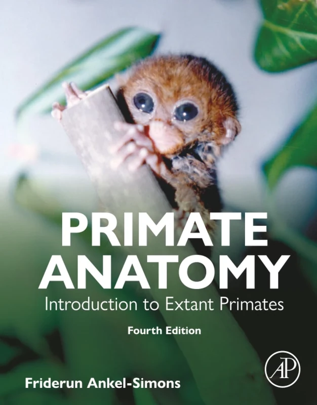 Primate Anatomy: Introduction to Extant Primates