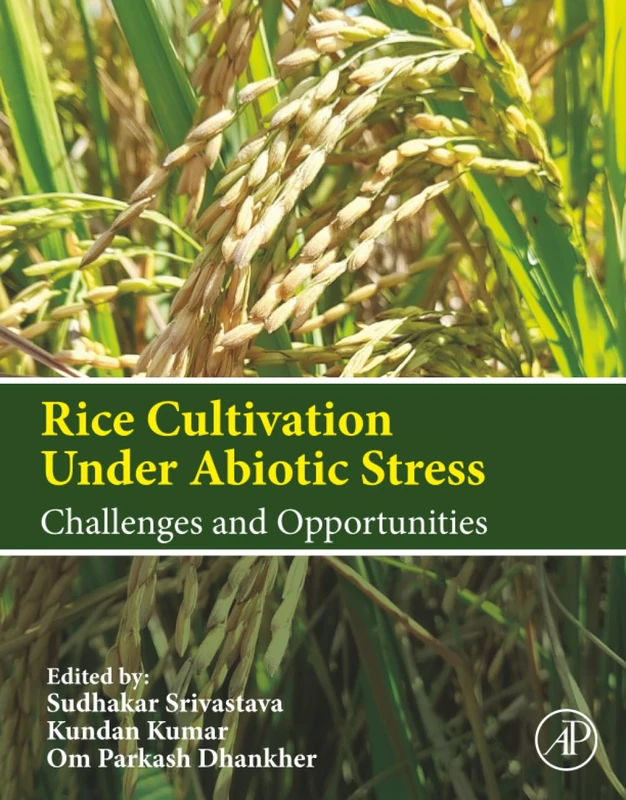 Rice Cultivation Under Abiotic Stress: Challenges and Opportunities