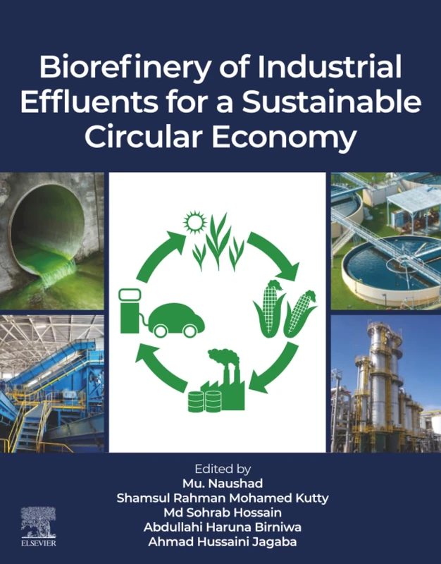 Biorefinery of Industrial Effluents for a Sustainable Circular Economy