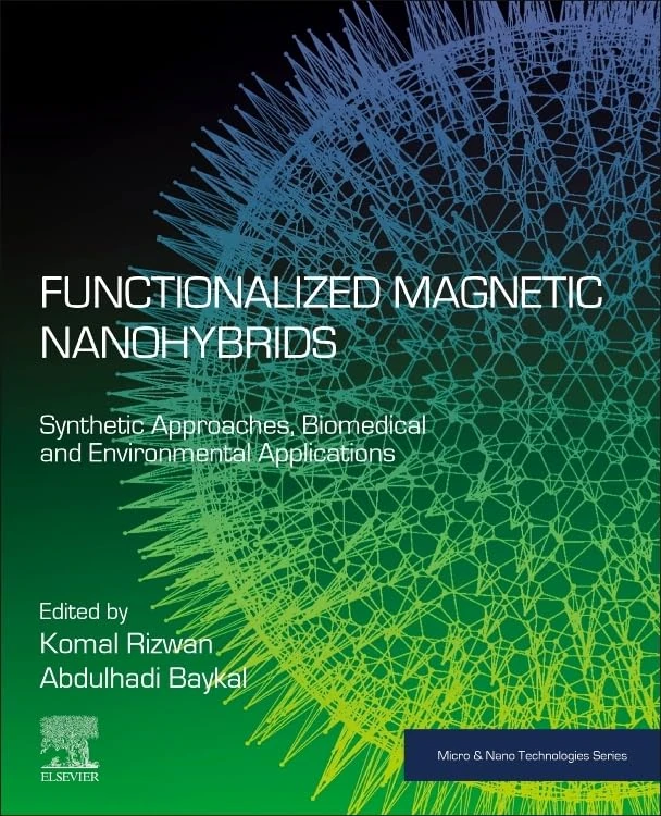 Functionalized Magnetic Nanohybrids: Synthetic Approaches, Biomedical and Environmental Applications (Micro and Nano Technologies)