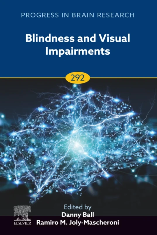 Blindness and Visual Impairments: Volume 292 (Progress in Brain Research, Volume 292)