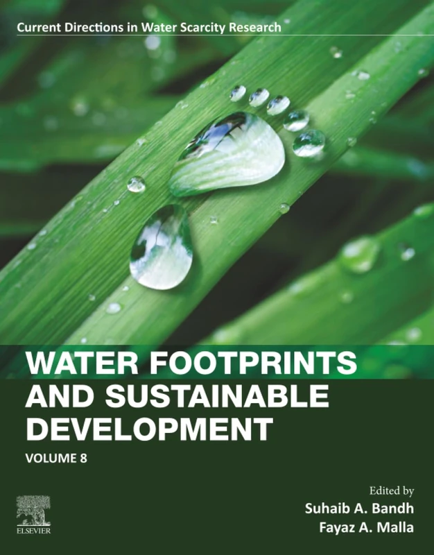 Water Footprints and Sustainable Development: Volume 8 (Current Directions in Water Scarcity Research, Volume 8)