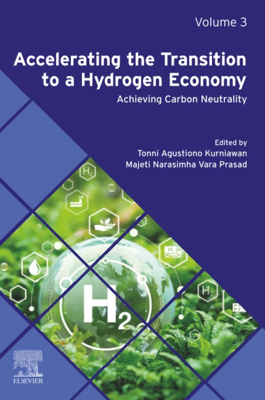 Elsevier - Accelerating the Transition to a Hydrogen Economy