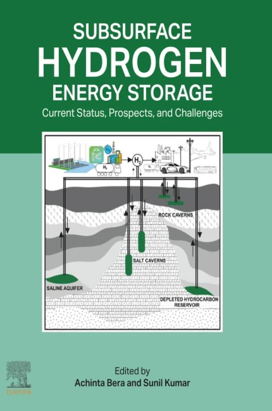 Subsurface Hydrogen Energy Storage: Current Status, Prospects, and Challenges