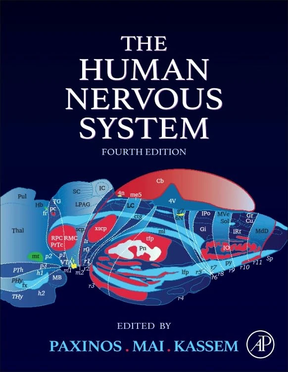 The Human Nervous System