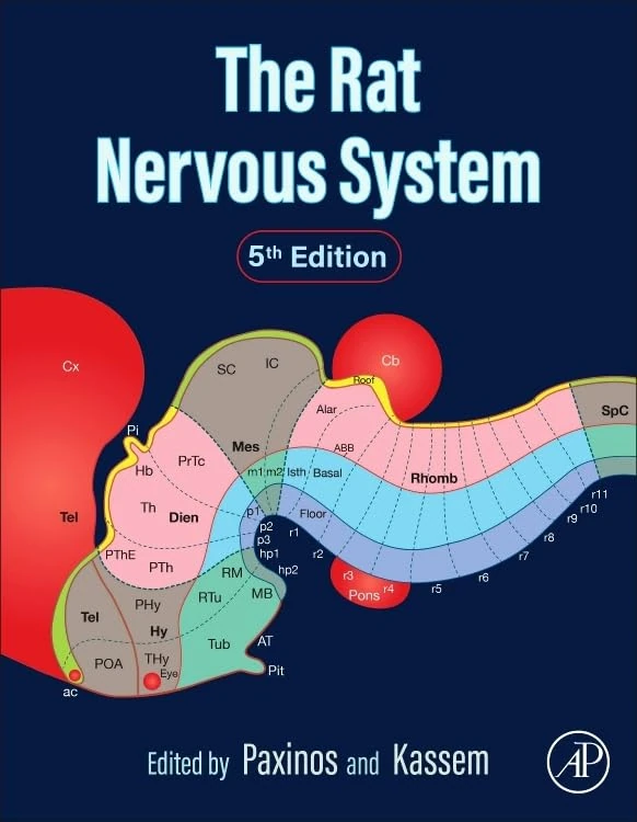 The Rat Nervous System