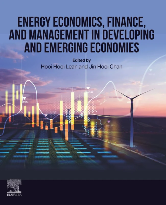 Energy Economics, Finance, and Management in Developing and Emerging Economies