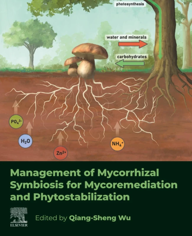 Management of Mycorrhizal Symbiosis for Mycoremediation and Phytostabilization