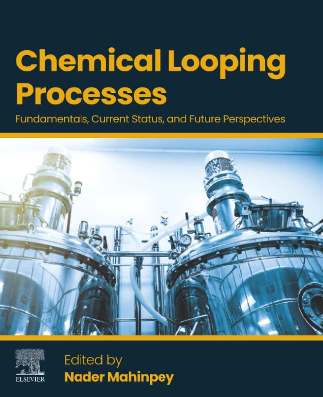 Chemical Looping Processes: Fundamentals, Current Status, and Future Perspectives