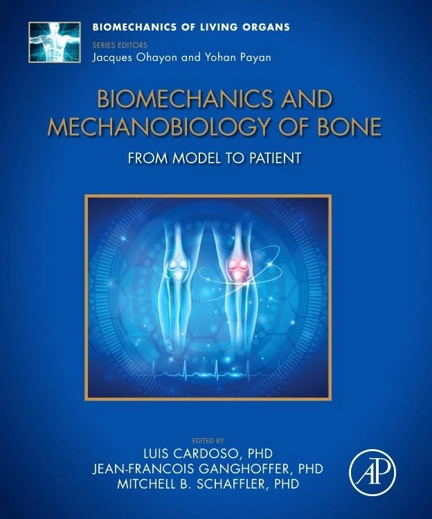 Biomechanics and Mechanobiology of Bone: From Model to Patient (Biomechanics of Living Organs)