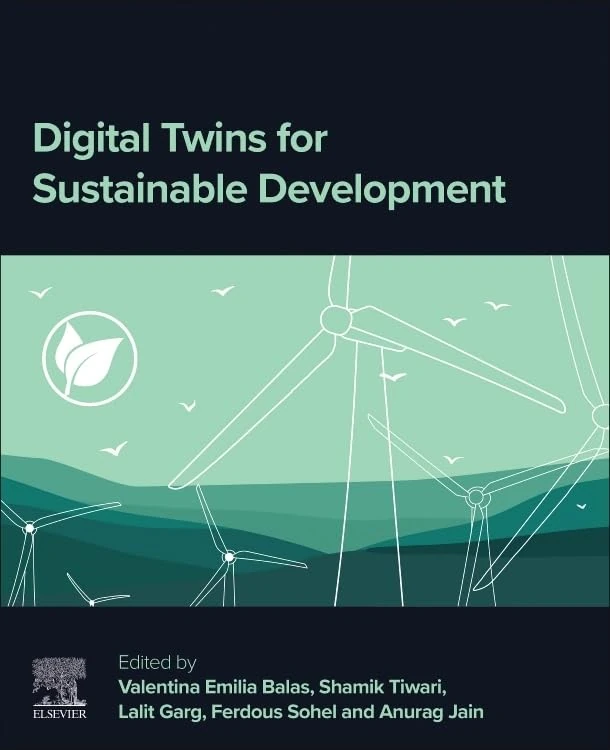 Digital Twins for Sustainable Development