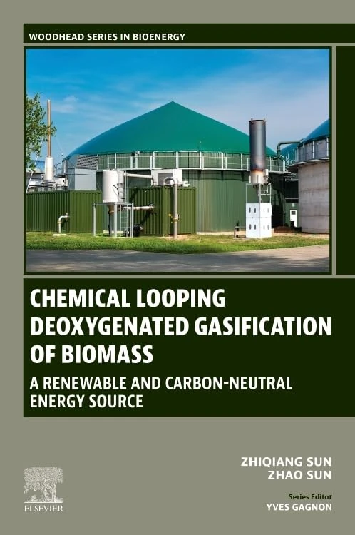Chemical Looping Deoxygenated Gasification of Biomass - Book