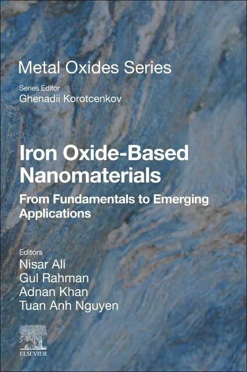 Iron Oxide-Based Nanomaterials: From Fundamentals to Emerging Applications (Metal Oxides)