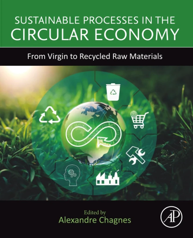 Sustainable Processes in the Circular Economy: From Virgin to Recycled Raw Materials