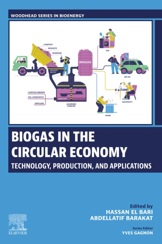 Biogas in the Circular Economy: Technology, Production, and Applications (Woodhead Series in Bioenergy)