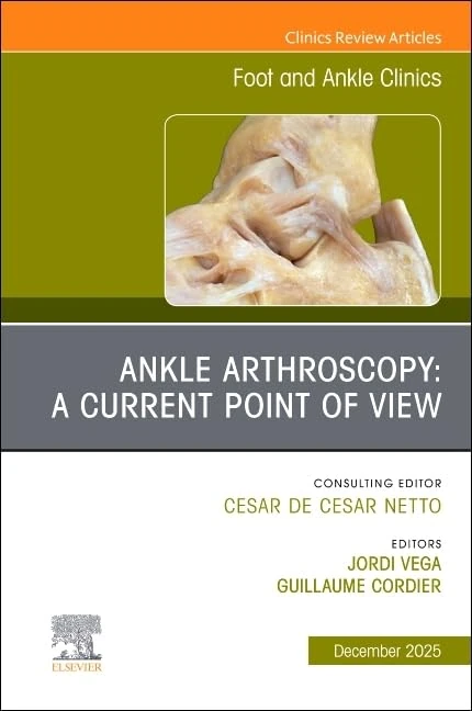 Ankle Arthroscopy: A Current Point of View, An issue of Foot and Ankle Clinics of North America (Volume 30-4) (The Clinics: Orthopedics, Volume 30-4)