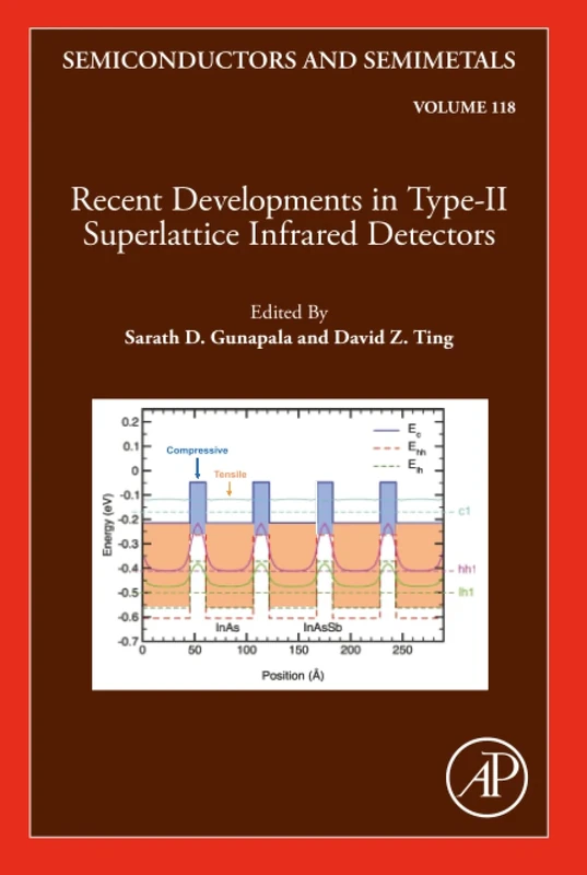 Recent Developments in the Field of IR Detectors: Volume 118 (Semiconductors and Semimetals, Volume 118)