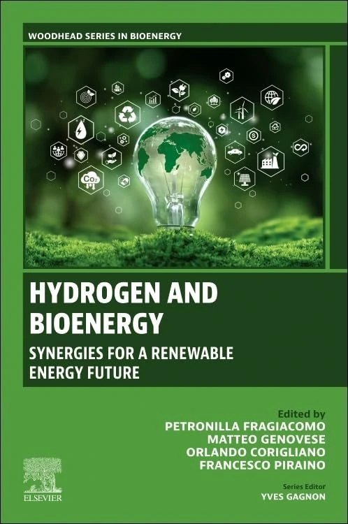 Hydrogen and Bioenergy: Synergies for a Renewable Energy Future (Woodhead Series in Bioenergy)