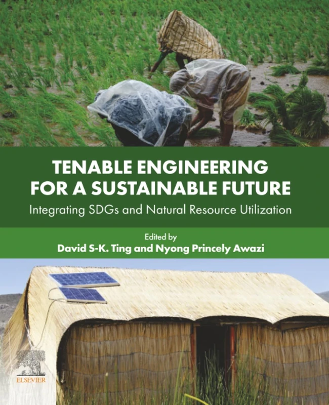 Tenable Engineering for a Sustainable Future: Integrating SDGs and Natural Resource Utilization