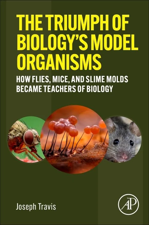 The Triumph of Biology's Model Organisms: How Flies, Mice, and Slime Molds Became Teachers of Biology