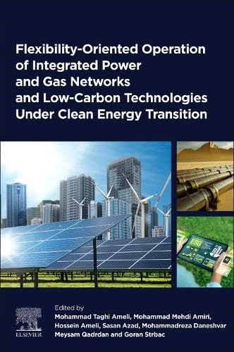 Flexibility-Oriented Operation of Integrated Power and Gas Networks and Low-Carbon Technologies Under Clean Energy Transition