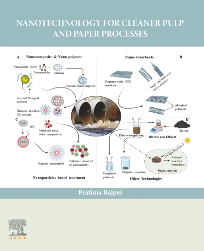 Nanotechnology for Cleaner Pulp and Paper Processes